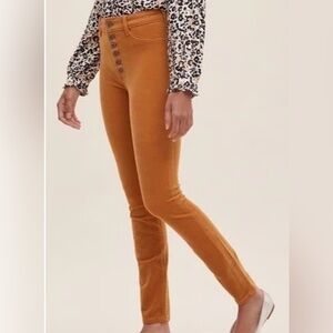 Anthropologie Pilcro and the Letterpress High-Rise Skinny Corduroy Pants  31